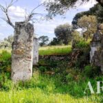Maison de ferme 5 chambres à vendre à Penha, Portalegre - gallery image