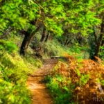 Terrain à vendre à Native., Belas Clube de Campo, Sintra, Portugal &bull; ARE21916 - gallery image