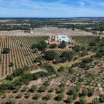 Maison de ferme 4 chambres à vendre à Foros de Vale Figueira, Montemor-o-Novo, Évora &bull; ARE38096 - gallery image