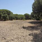 Terrain à vendre à Santo Estevão, Benavente, Santarem - gallery image