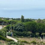 Terrain à vendre à Sesimbra, Setubal - gallery image