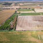Maison de ferme 3 chambres à vendre à Almeirim, Santarem • ARE38268 - gallery image