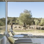 Maison de ferme 9 chambres à vendre à Arraiolos, Évora - gallery image