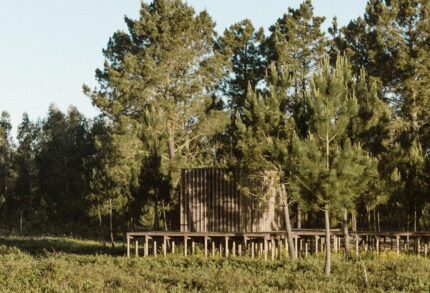Appartement 1 chambre à vendre à Craveiral Farmhouse, São Teotónio, Odemira, Beja