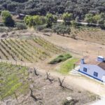 Villa 22 chambres à vendre à Ciladas, Vila Viçosa, Évora - gallery image