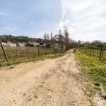 Maison de ferme Luxe 14 chambres à vendre à Colares, Sintra, Greater Lisbon - gallery image