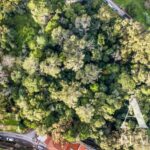 Maison de ferme 9 chambres à vendre à Sintra, Grand Lisbonne &bull; ARE38977 - gallery image