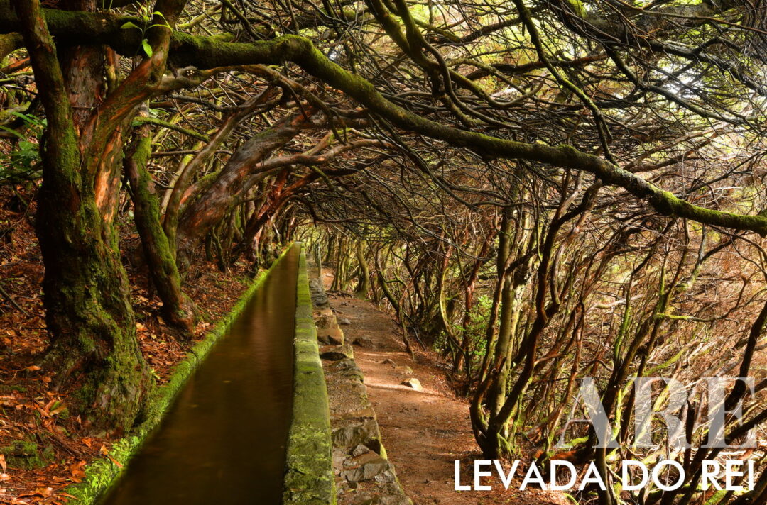 <strong>Levada do Rei</strong> is a 5.3 km trail (10.6 km round trip) on Madeira Island. It takes about 3 hours and 30 minutes to complete and is of <strong>medium difficulty</strong>. The trail starts at the Water Treatment Plant in Quebradas, São Jorge, and goes through an exotic forest and agricultural <strong>landscapes of São Jorge and Santana</strong>. Along the way, you can see tunnels formed by diverse vegetation. The highlight is reaching Ribeiro Bonito, a natural sanctuary with dense Laurissilva forest vegetation. The trail ends at the São Jorge Water Mill, a historic mill still in operation that grinds cereals grown in the region.