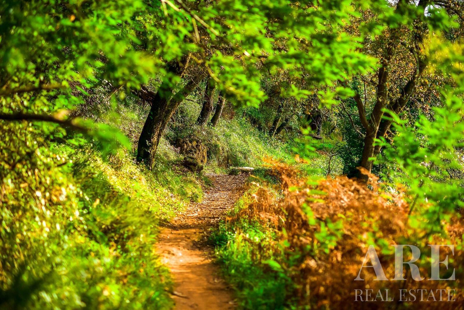 Plot for sale in Native., Belas Clube de Campo, Sintra 3 Plot for sale in Native., Belas Clube de Campo, Sintra