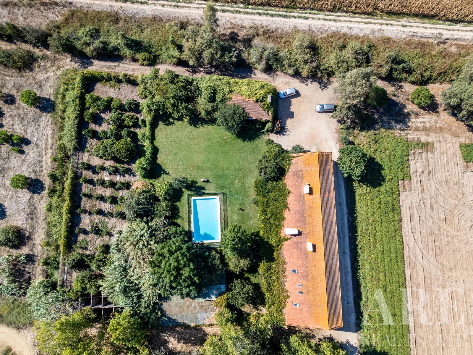 Farmhouse for sale in Almeirim 3 Farmhouse for sale in Almeirim