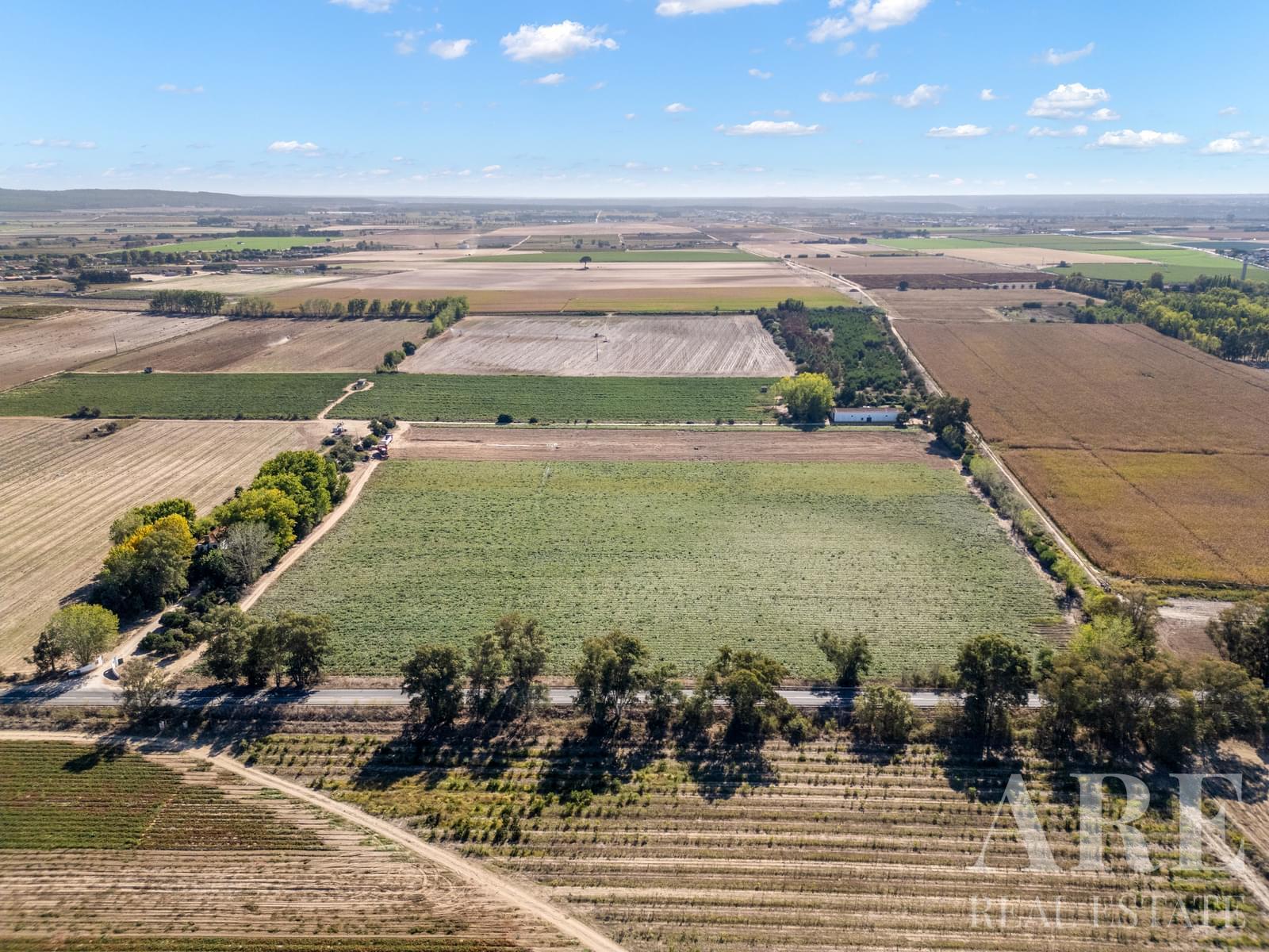 Farmhouse for sale in Almeirim 10 Farmhouse for sale in Almeirim