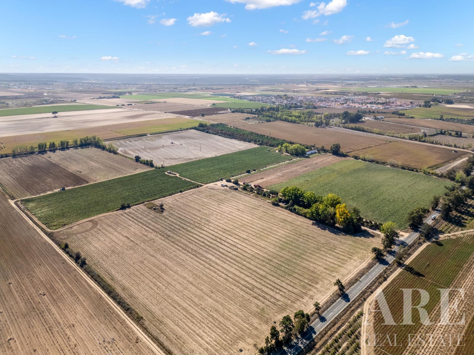 Farmhouse for sale in Almeirim 11 Farmhouse for sale in Almeirim