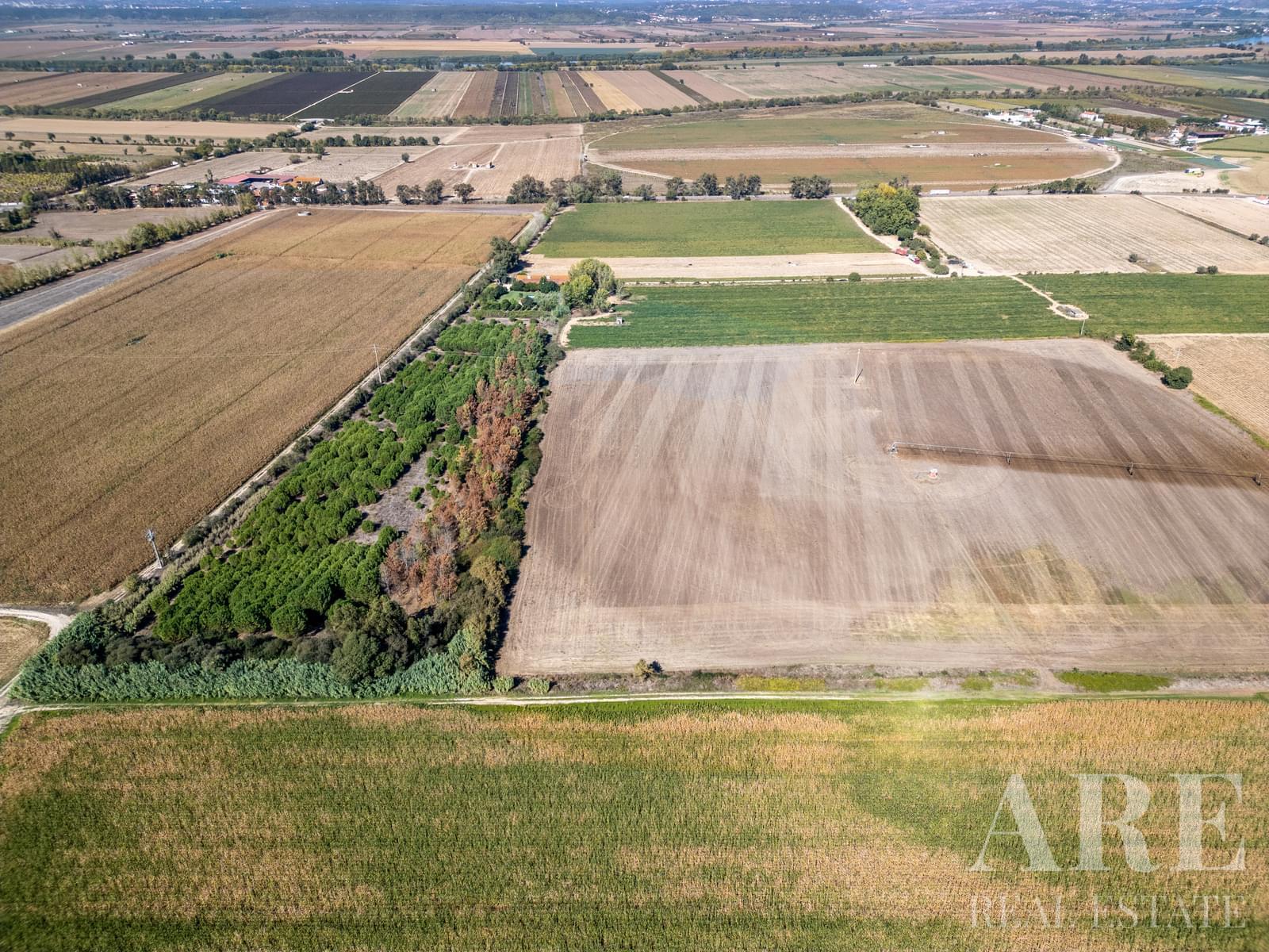 Farmhouse for sale in Almeirim 12 Farmhouse for sale in Almeirim