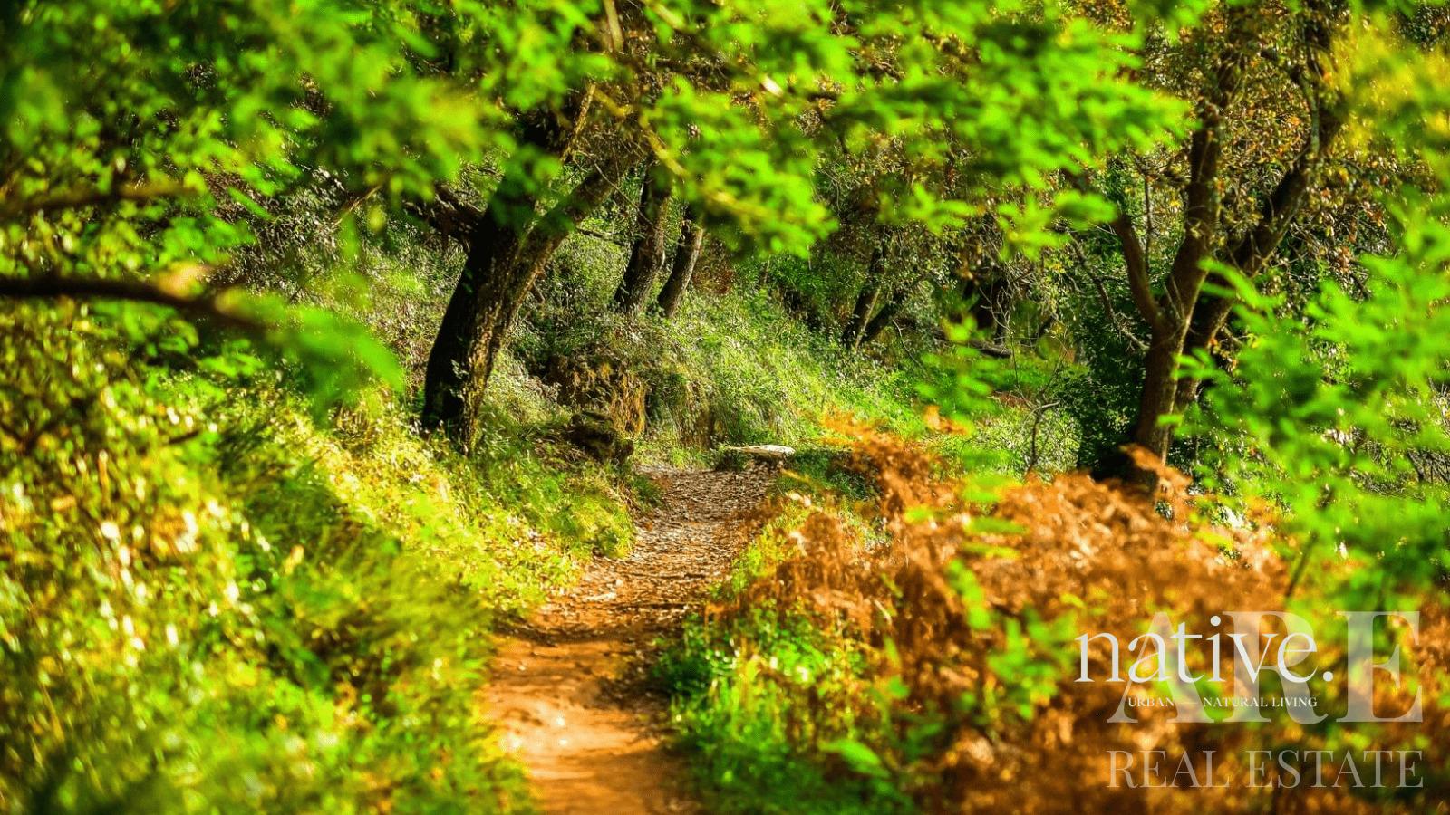 Apartment for sale in Native, Belas Clube de Campo, Sintra 15 Apartment for sale in Belas Clube de Campo, Sintra