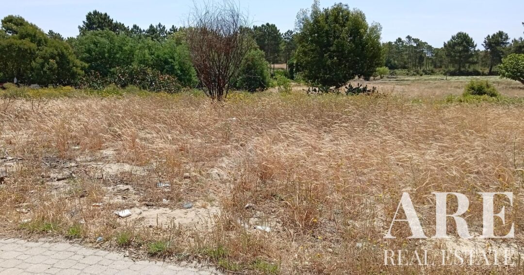 Land for sale in Comporta, Alcacer do Sal