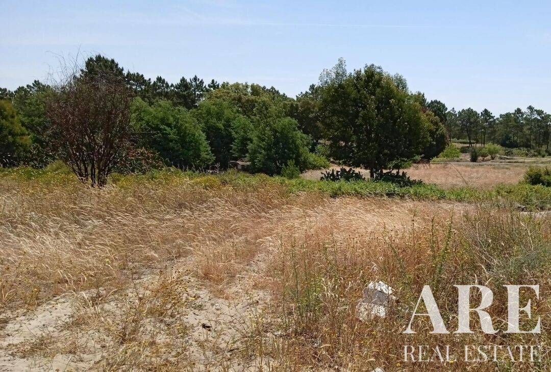 Land for sale in Comporta, Alcacer do Sal