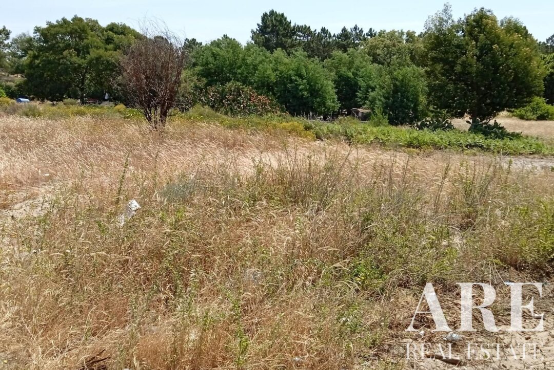 Land for sale in Comporta, Alcacer do Sal
