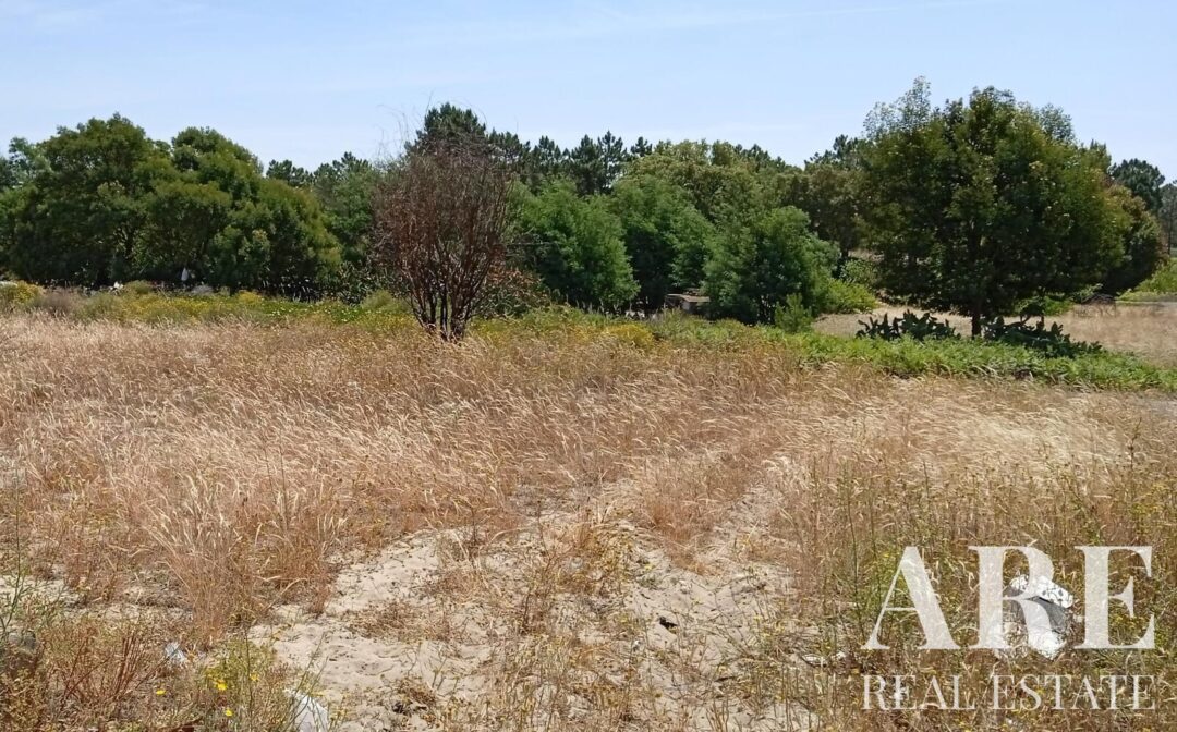 Land for sale in Comporta, Alcacer do Sal