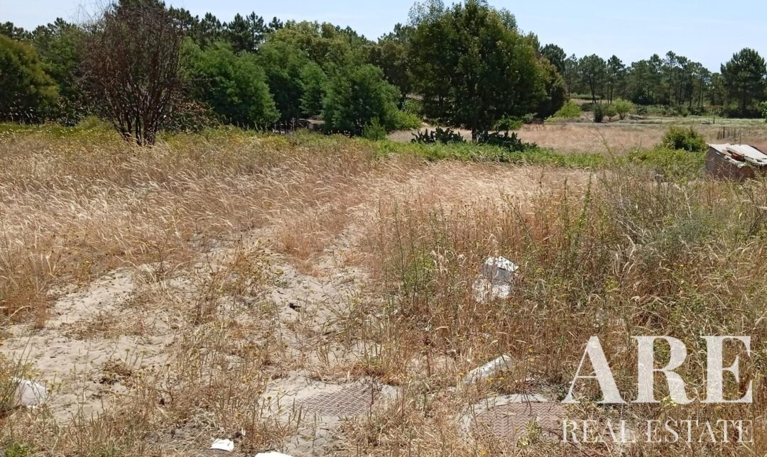 Land for sale in Comporta, Alcacer do Sal