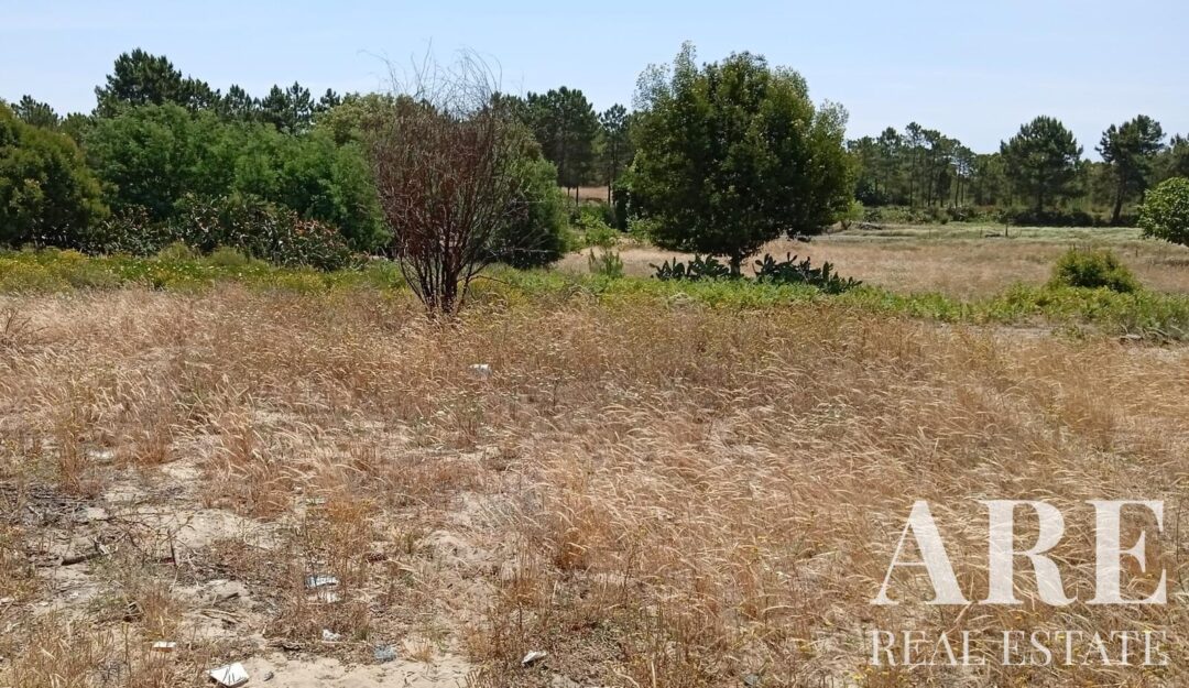 Land for sale in Comporta, Alcacer do Sal