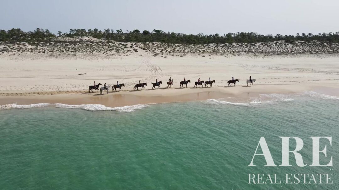 Land for sale in Comporta, Alcacer do Sal