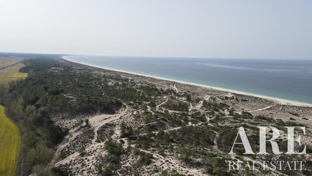 Land for sale in Comporta, Alcacer do Sal