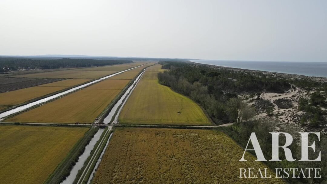 Land for sale in Comporta, Alcacer do Sal
