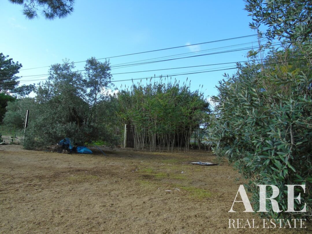Casa en venta en Álcacer do Sal, Alcacer do Sal - Imagen 20