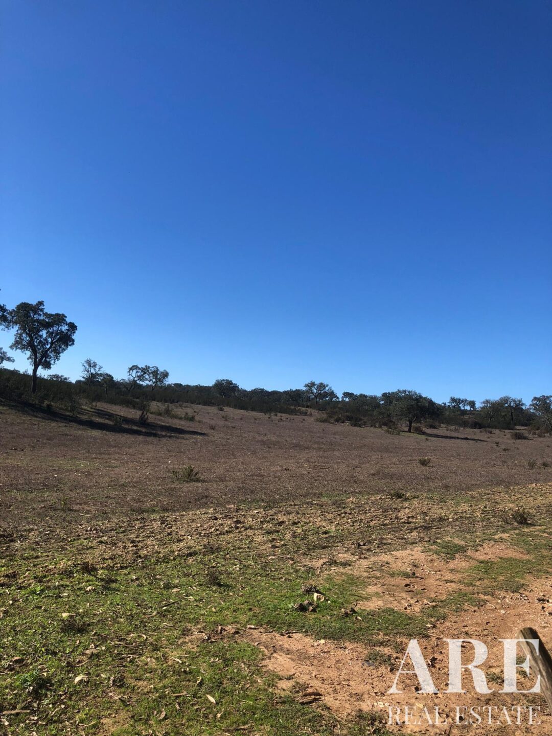Lote de terreno à venda em Cercal do Alentejo, Santiago do Cacem - Image 25