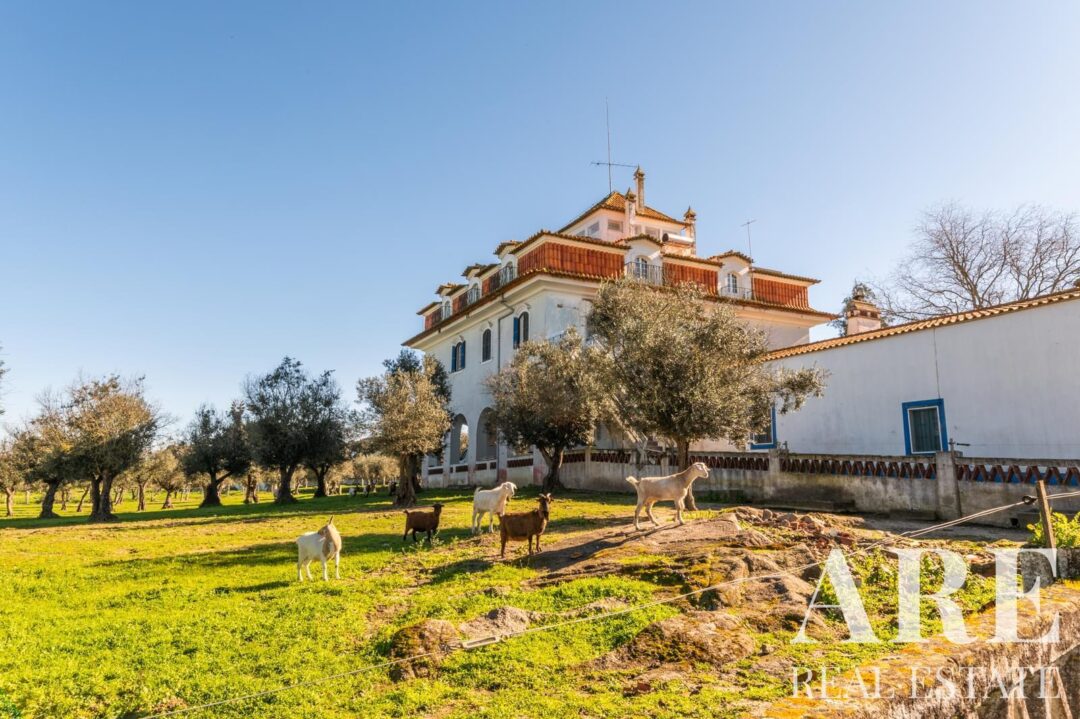 Casa de Fazenda à venda em Évora - Image 8