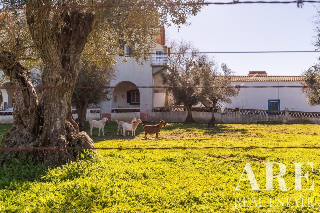 Casa de Fazenda à venda em Évora - Image 9
