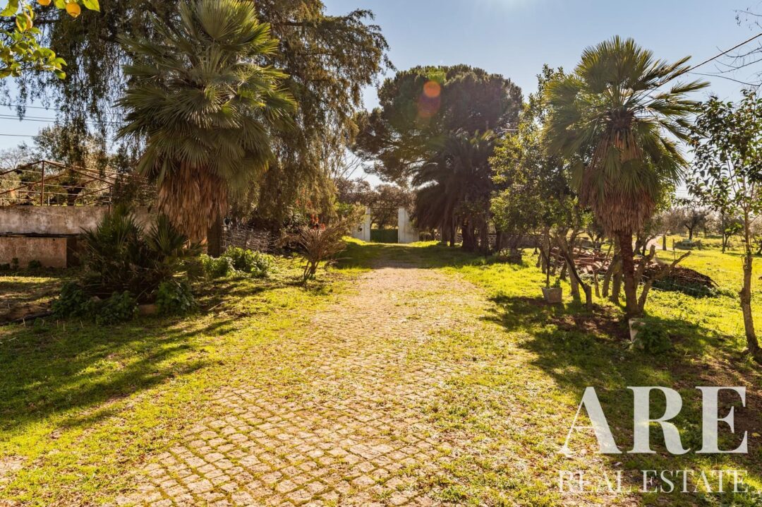 Casa de Fazenda à venda em Évora - Image 18
