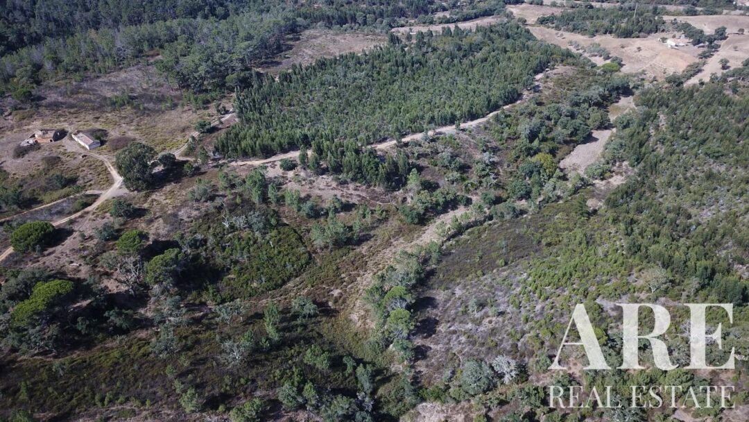 Lote de terreno à venda em São Teotónio, Odemira - Image 24