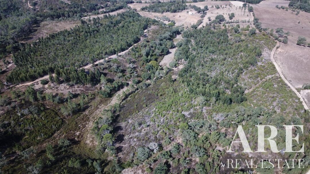 Lote de terreno à venda em São Teotónio, Odemira - Image 25