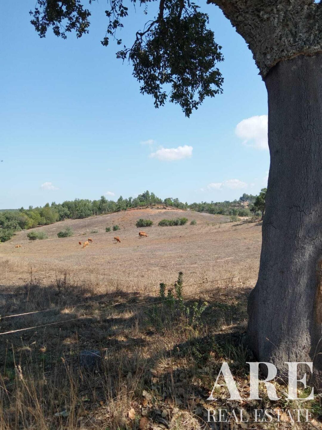 Lote de terreno à venda em São Teotónio, Odemira - Image 26
