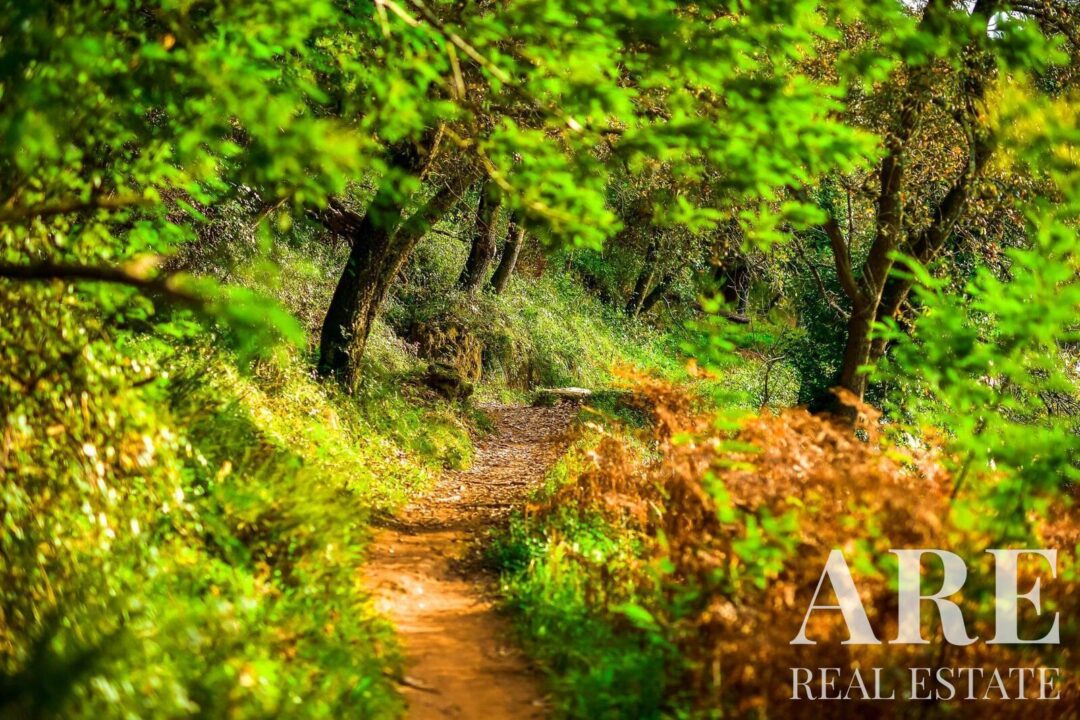 Apartamento en venta en Native., Belas Clube de Campo, Sintra - Imagen 4