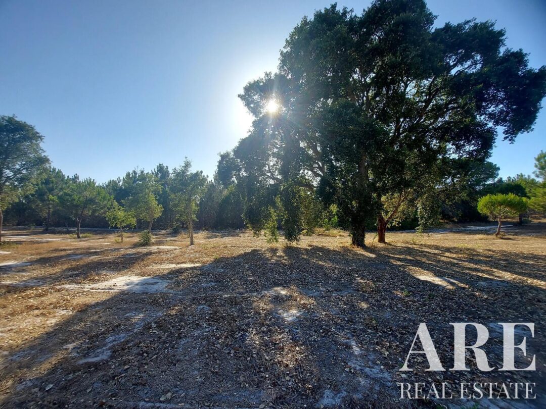 Plot for sale in Lagoa de Santo André, Santiago do Cacem