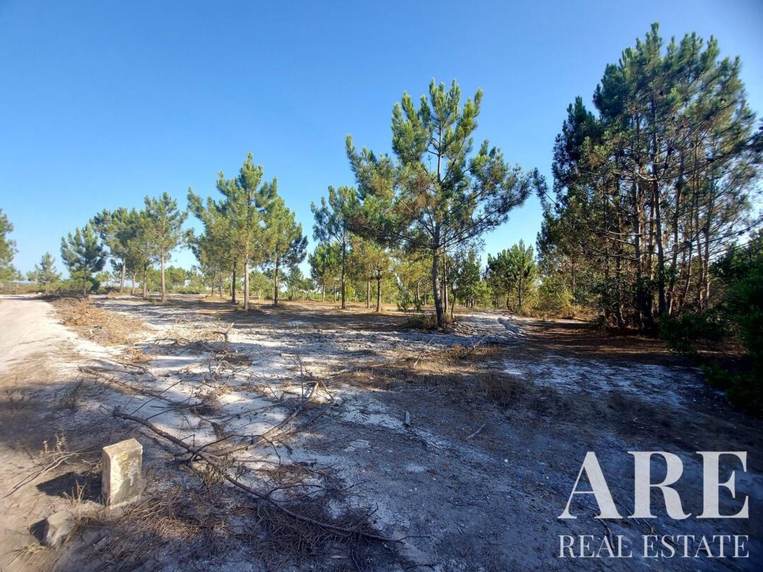 Lote de terreno à venda em Lagoa de Santo André, Santiago do Cacem - Image 5