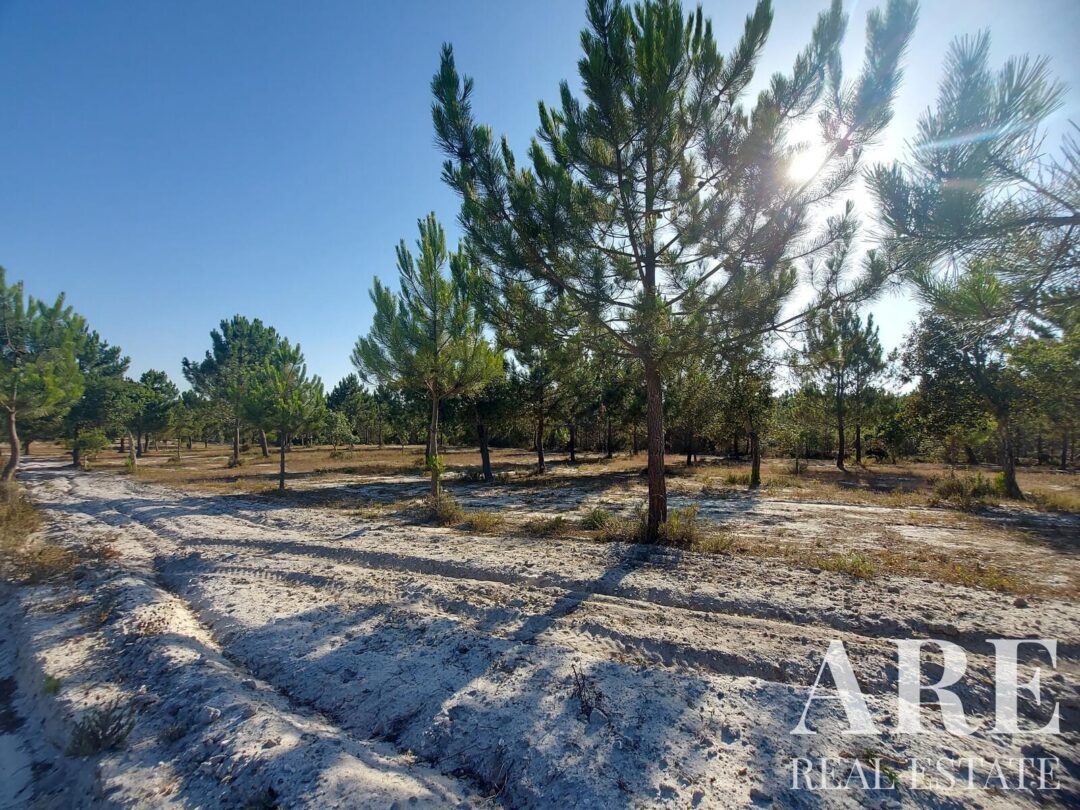 Lote de terreno à venda em Lagoa de Santo André, Santiago do Cacem - Image 6