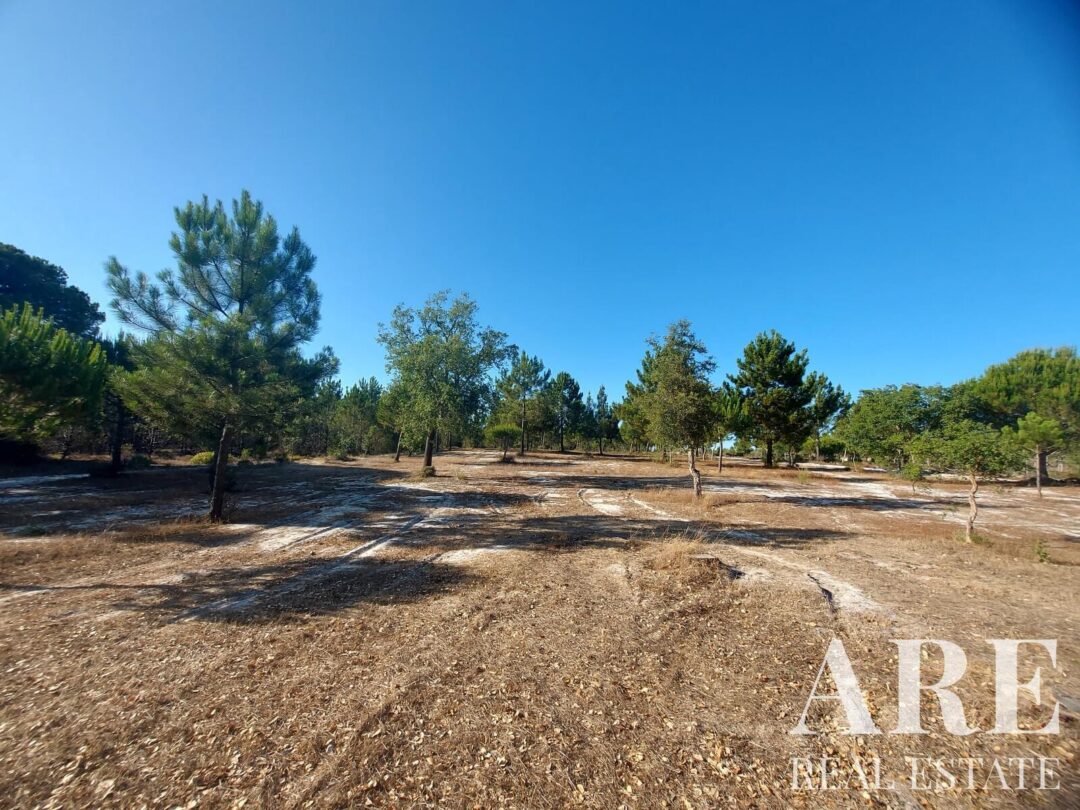 Lote de terreno à venda em Lagoa de Santo André, Santiago do Cacem - Image 9