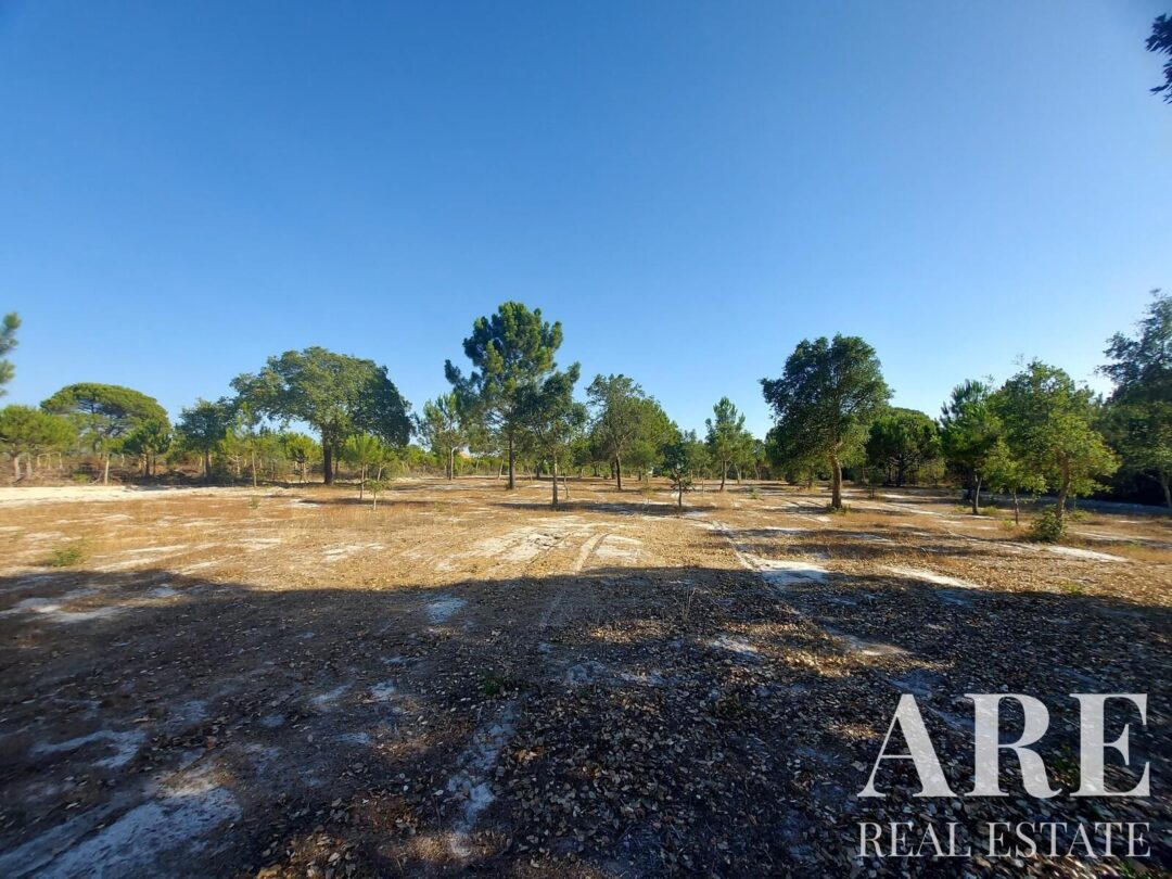 Lote de terreno à venda em Lagoa de Santo André, Santiago do Cacem - Image 10
