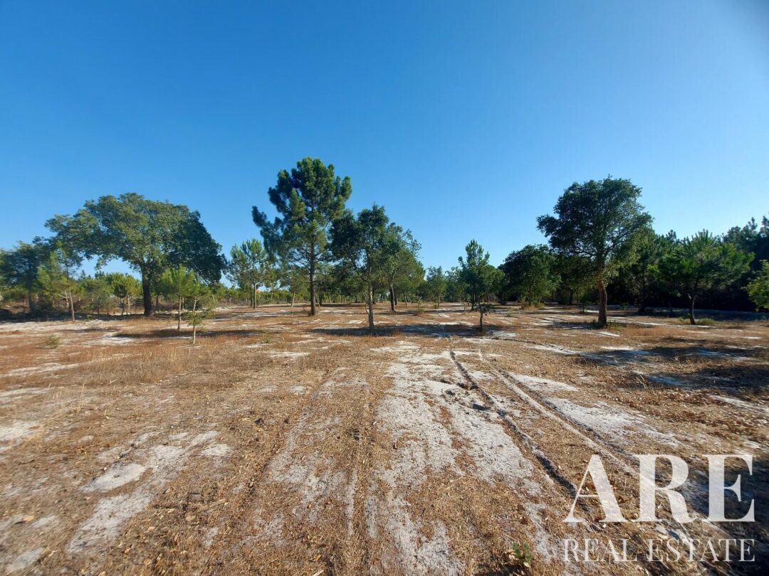 Lote de terreno à venda em Lagoa de Santo André, Santiago do Cacem - Image 11