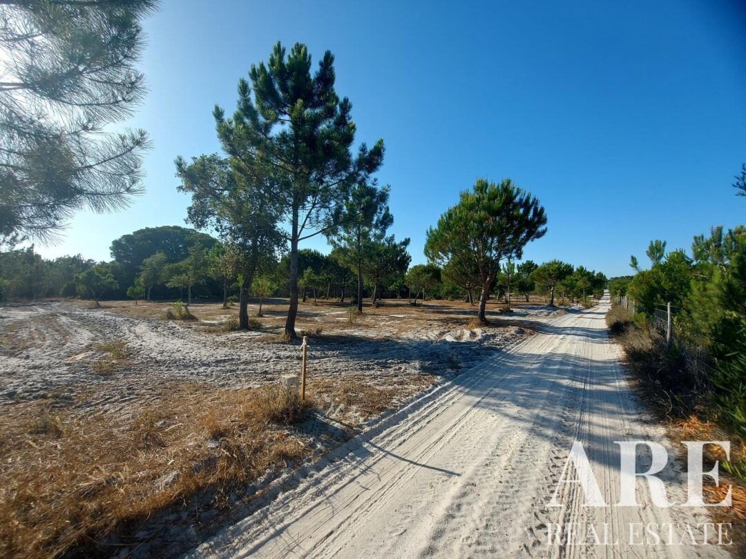 Lote de terreno à venda em Lagoa de Santo André, Santiago do Cacem - Image 12