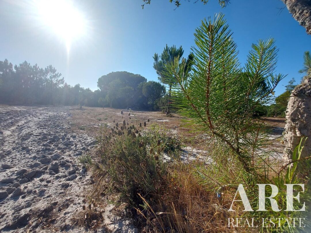 Lote de terreno à venda em Lagoa de Santo André, Santiago do Cacem - Image 14