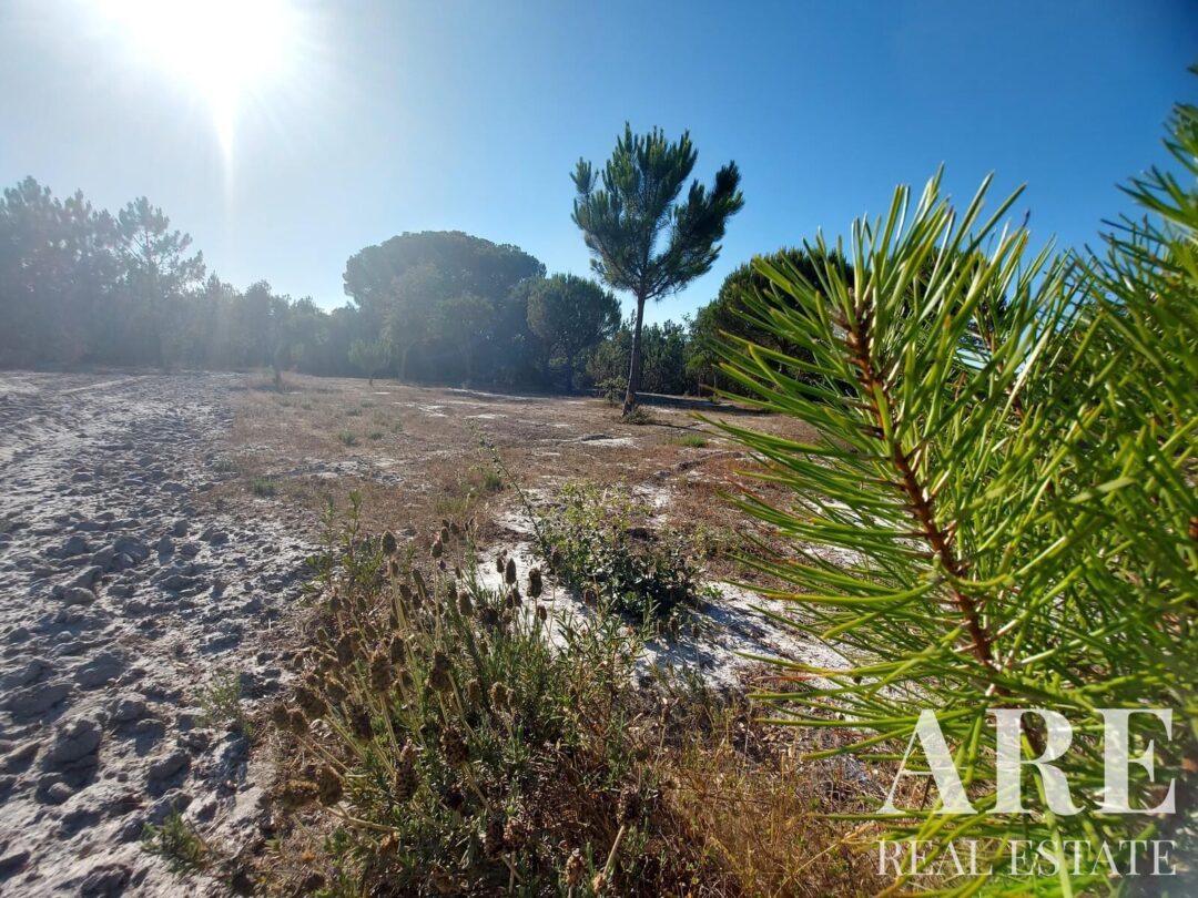 Lote de terreno à venda em Lagoa de Santo André, Santiago do Cacem - Image 15
