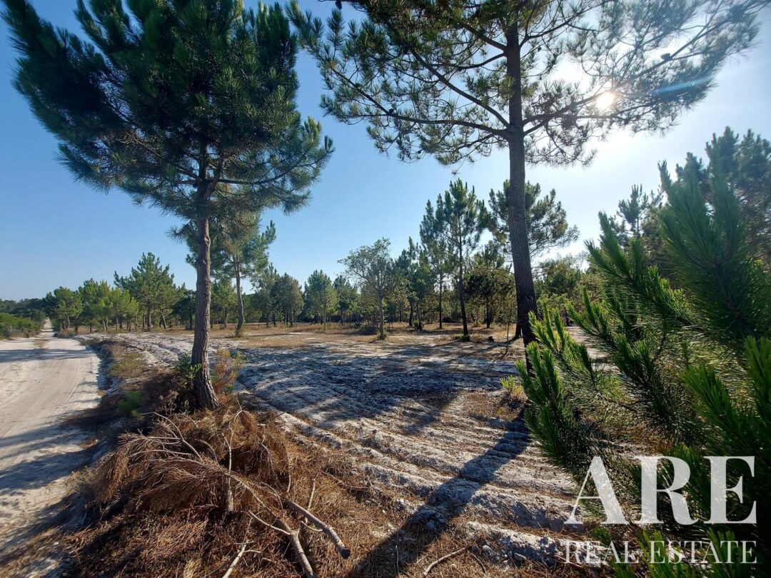 Lote de terreno à venda em Lagoa de Santo André, Santiago do Cacem - Image 16