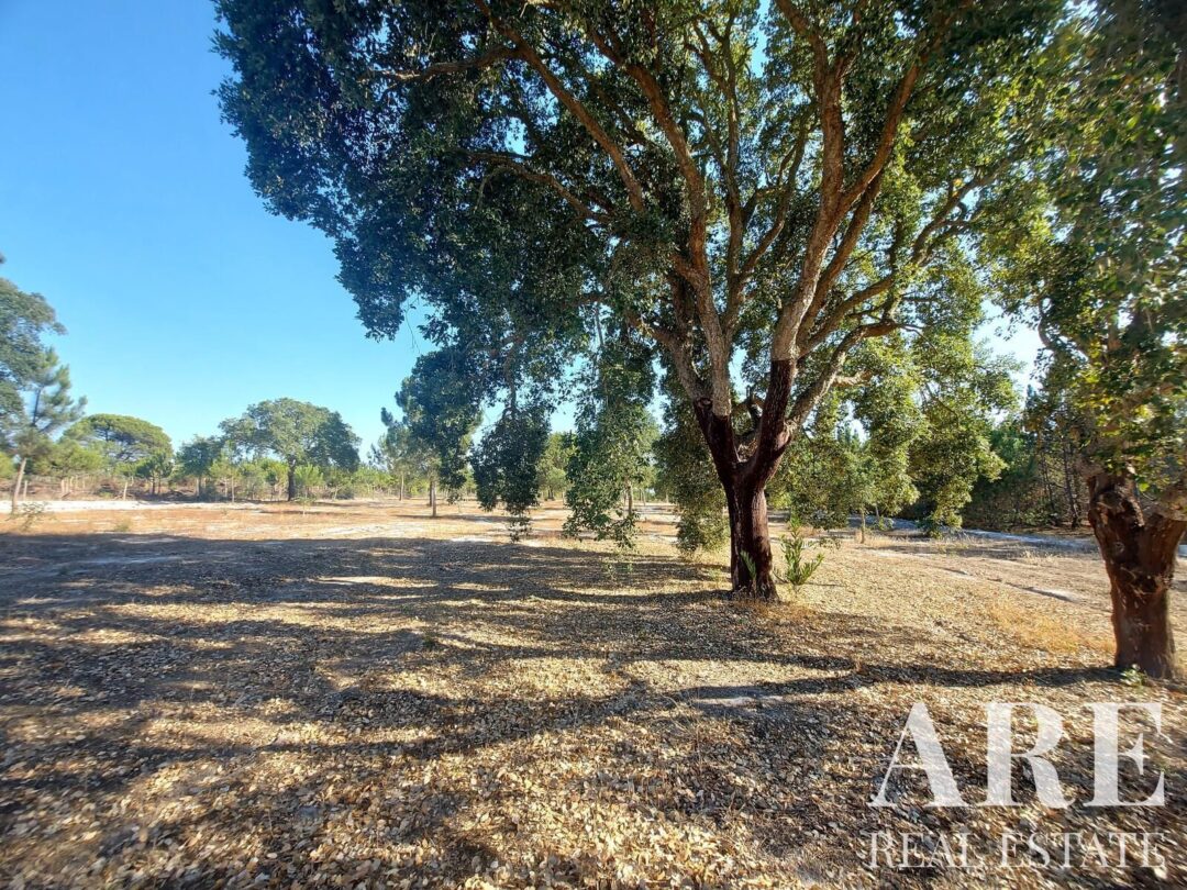Lote de terreno à venda em Lagoa de Santo André, Santiago do Cacem - Image 17