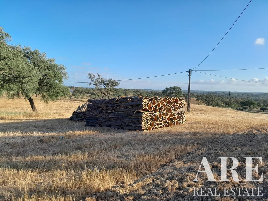 Parcela en venta en São Bartolomeu da Serra, Santiago do Cacem - Imagen 25