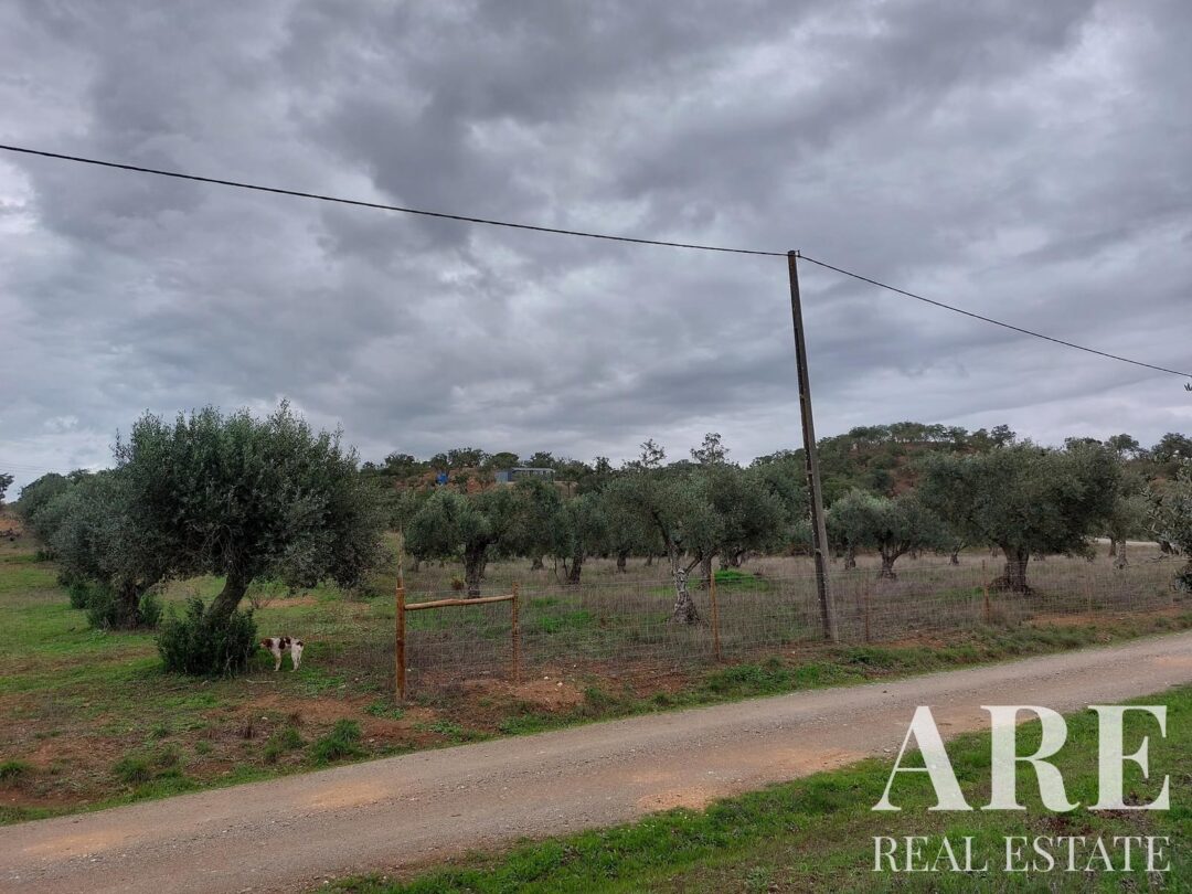 Parcela en venta en São Bartolomeu da Serra, Santiago do Cacem - Imagen 31