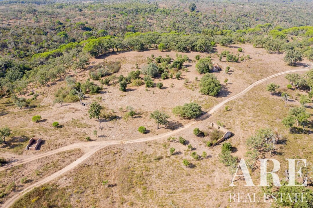 Lote de terreno à venda em Santiago do Cacem - Image 4